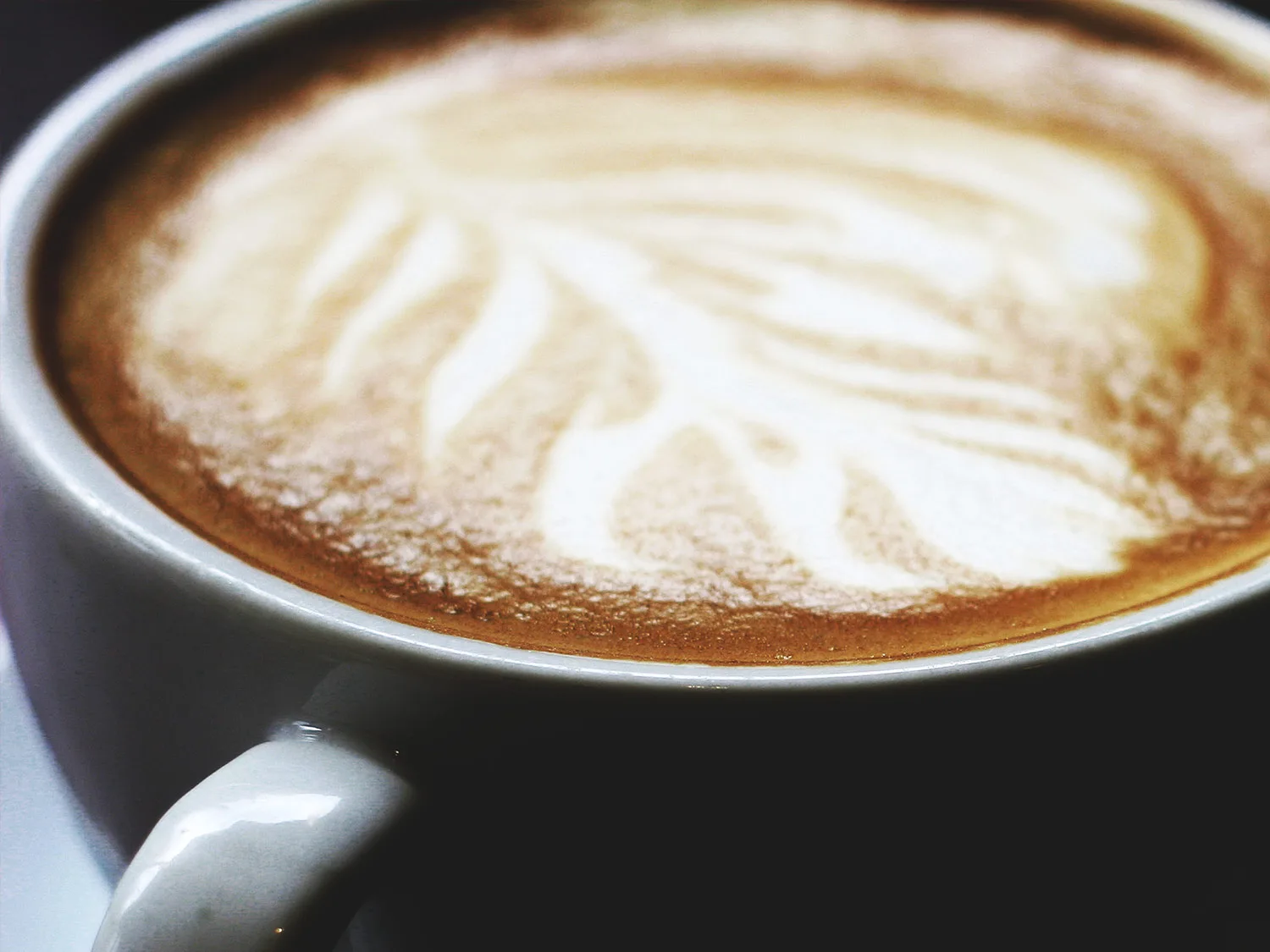Coffee Cup - 熊猫体育